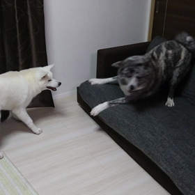 毎日毎日…の画像