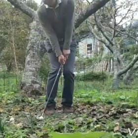 キャリー５ヤードの画像