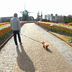 じいちゃんと孫　の画像