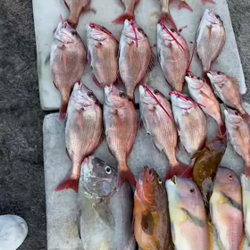 令和３年７月31日(土)　☀晴の画像