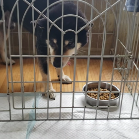 朝飯(^_^)の画像