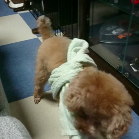 なんだこいつ❗の画像