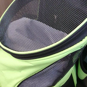 予防接種&検便検査待ちの画像