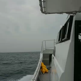 最終テスト走行の画像