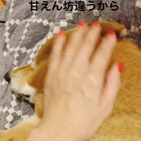 ナデナデとムキムキの狭間での画像