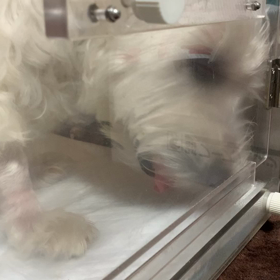 3時間の副作用の画像