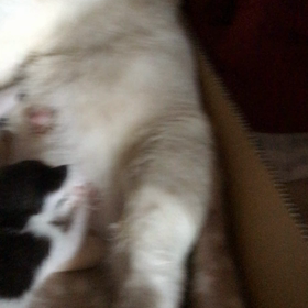 もっと‼️の画像