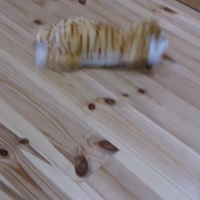 わが家のクリスマスの画像