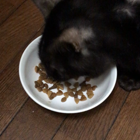 ダディくんも順調に！の画像