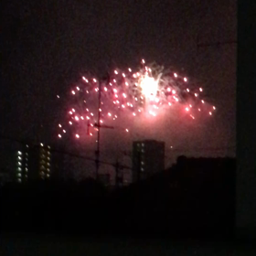 犬と花火の画像