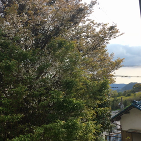 早く平和な世界になる事を。。の画像