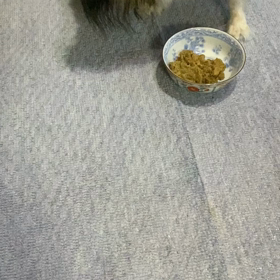 食い付き悪ｯ！<ﾜﾗの画像