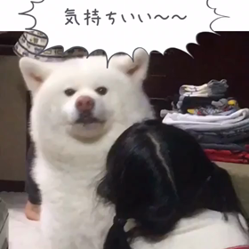 そこが急所の画像