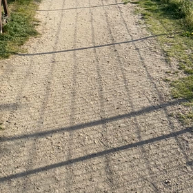 ダラダラ　ゴロゴロ　ウダウダとの画像