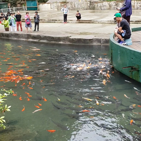 毛澤東主席の画像