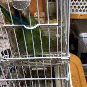 新しい!!の画像