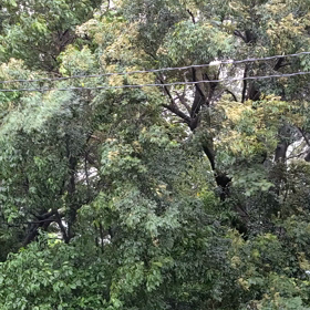 台風10号接近中？の画像
