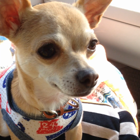 まめと定番の画像