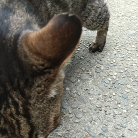 季節の変わり目で体調不良の画像