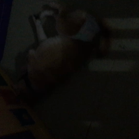 昨夜からの画像