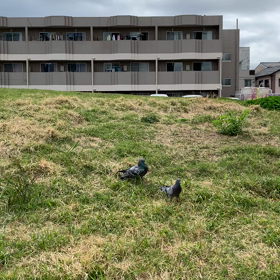 アタック!!の画像