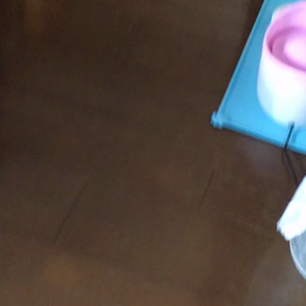 なずなワンコになる⁈の画像