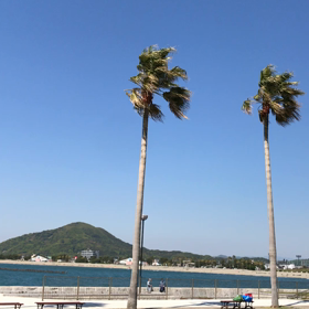 民泊オープンのその後の画像