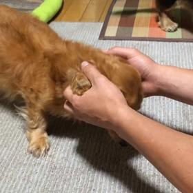 あーーー！の画像