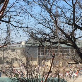 インフルに負けるな〜٩(๑❛ᴗ❛๑)۶の画像