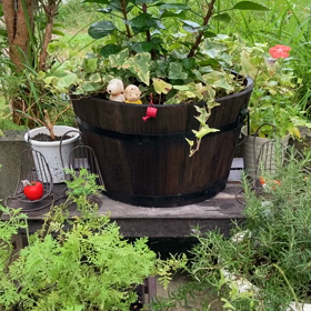 介護記録１６９（認知症進行中！）の画像