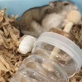 #今日の楽しみはの画像