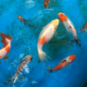 不自由時間の画像