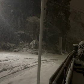 寒いよ～の画像