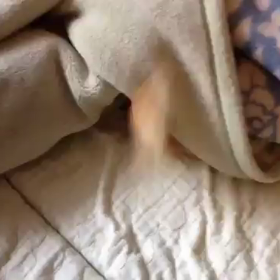 お父さん オハヨ♡の画像