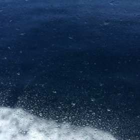 大洗に帰って来たキャノピーの画像