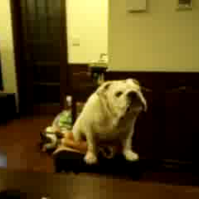 やっと腫れた…痛ッ(;´д｀)ﾟﾟの画像