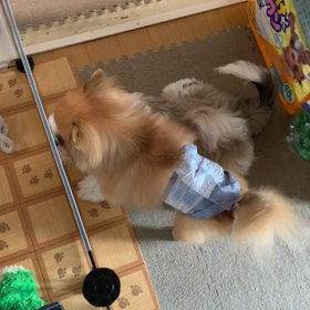 時間の経つのは早い！の画像