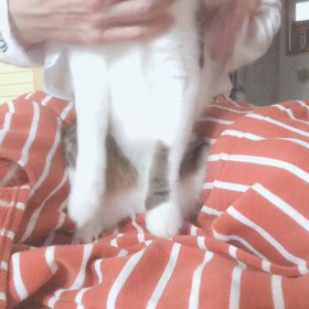 夫婦無関心でジム通い。デールの爪切り必見snow動画。の画像