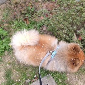 雪☁❄⛄❄☁の画像