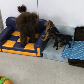 ♪プレイルーム動画♪②の画像