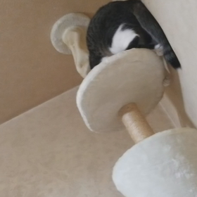 一人遊びの画像