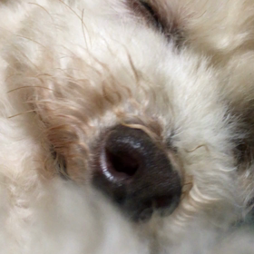 いつもの一コマの画像