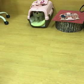 見事な変わりっぷり。の画像