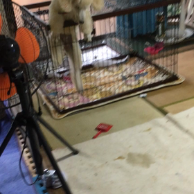 母さんは見た。の画像