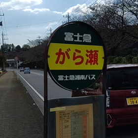 11/9(月)ざる菊の画像