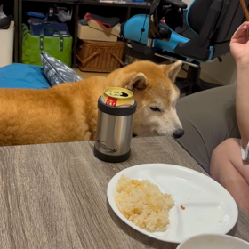 箱根駅伝の画像