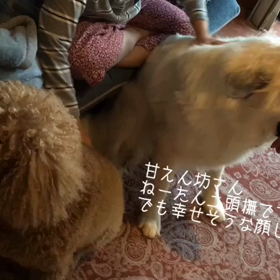 まったりしてますの画像