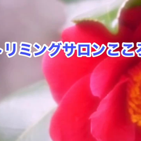 1月　〜スライドショー〜　コロナ対策の画像