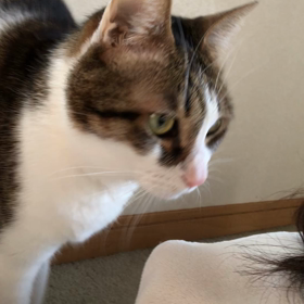 コロナ発症して…昨日2日目は、の画像