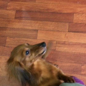 更に行きますよ(๑˃̵ᴗ˂̵)の画像